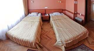 Отель Отель Гетман Львов Стандартный двухместный номер с 1 кроватью или 2 отдельными кроватями-4
